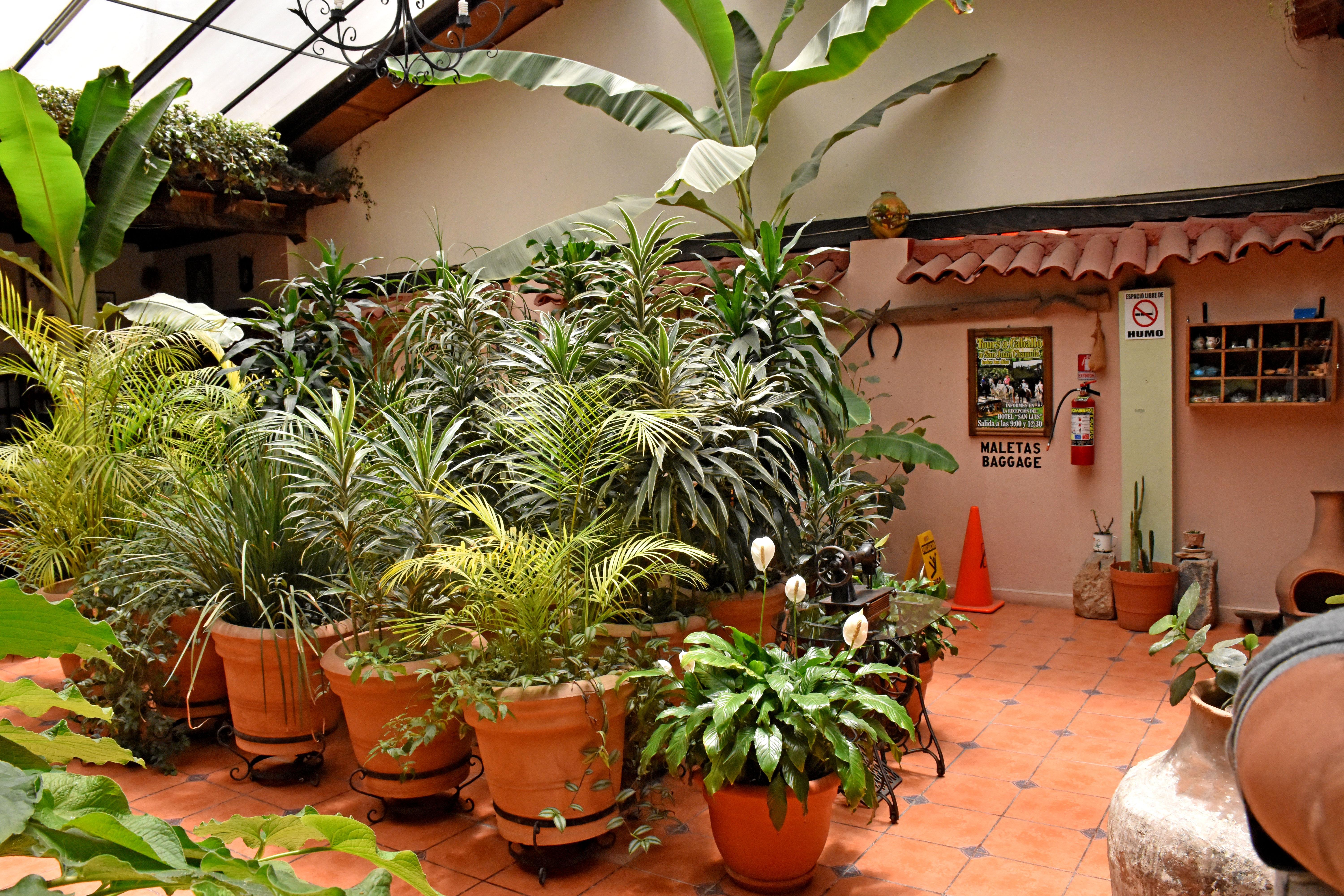 Hotel San Luis San Cristóbal de Las Casas Exterior foto